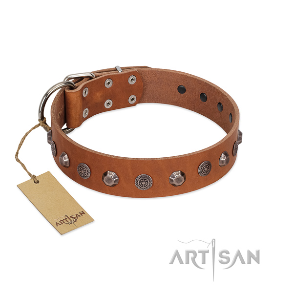 Rust-proof hardware on full grain leather dog collar for daily walking your canine