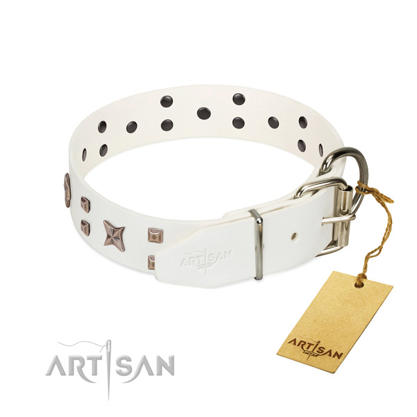 Natural leather dog collar with stylish studs