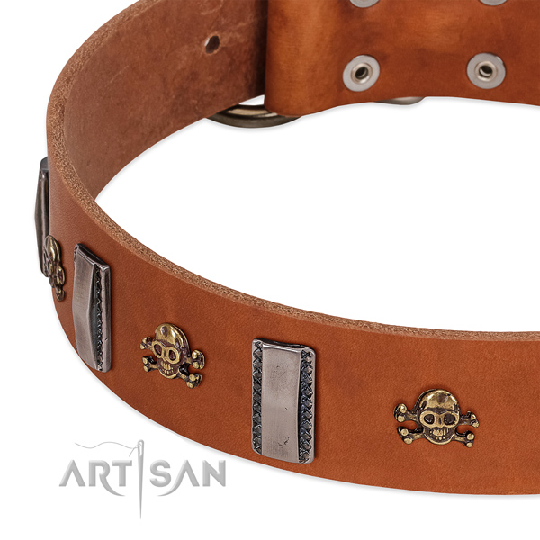 Impressive embellishments on full grain leather dog collar for easy wearing