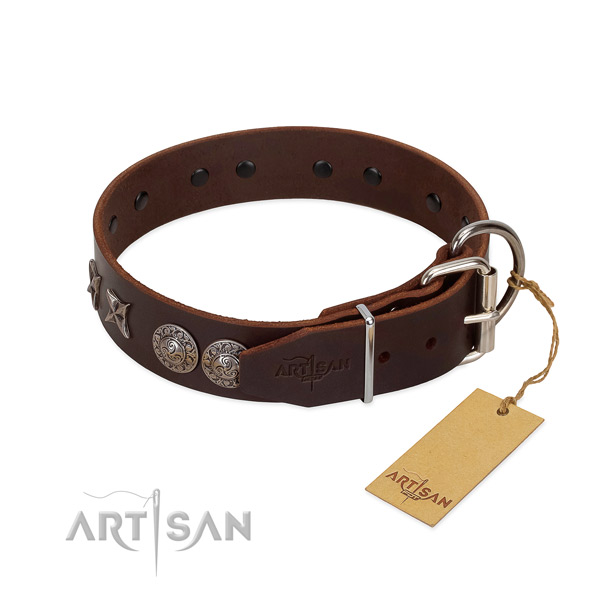 Comfortable wearing dog collar of genuine leather with impressive decorations