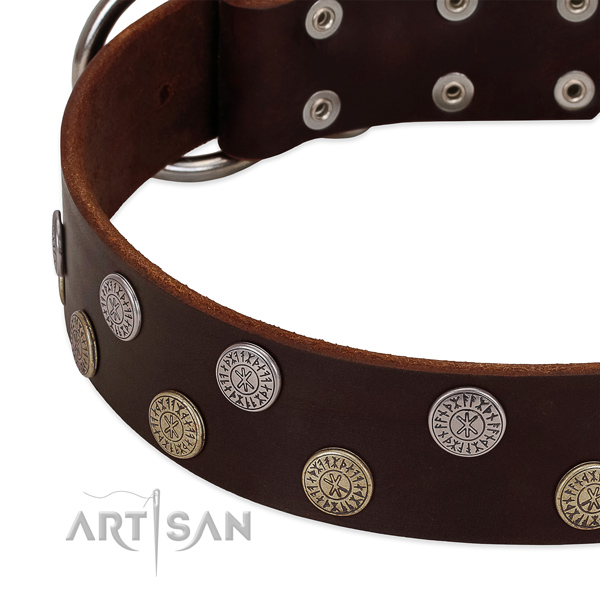 Flexible full grain genuine leather dog collar with adornments for your handsome pet