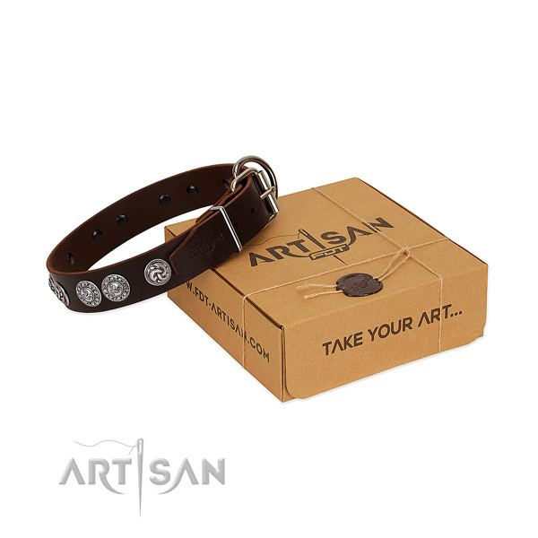 Significant full grain leather collar for your four-legged friend walking in style