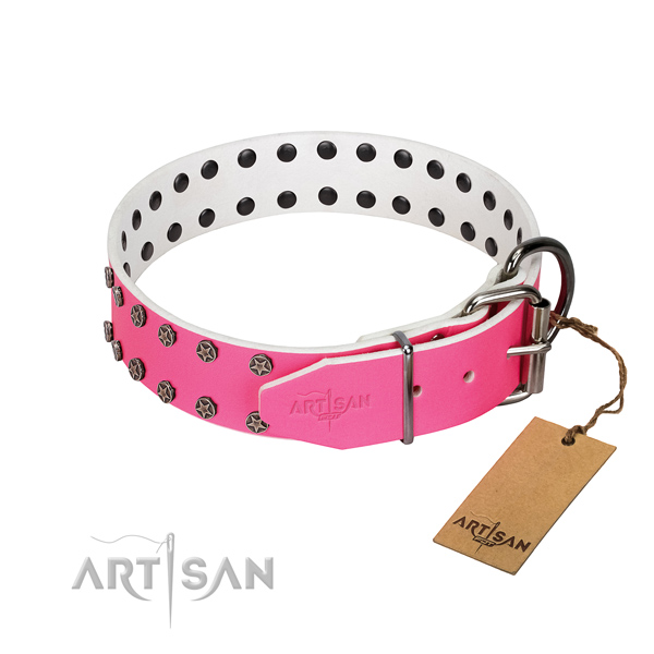 Quality genuine leather dog collar with embellishments for your canine