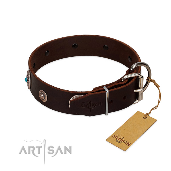 Stunning natural leather dog collar with reliable adornments