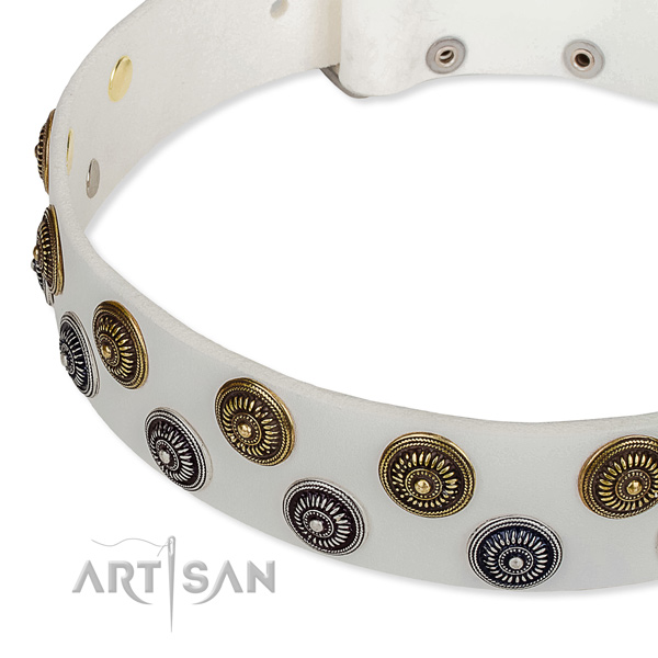 Walking embellished dog collar of quality full grain natural leather