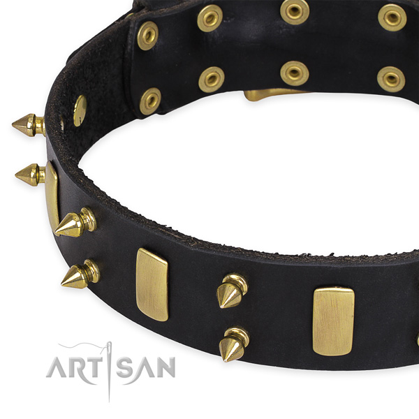 Walking studded dog collar of top notch full grain natural leather
