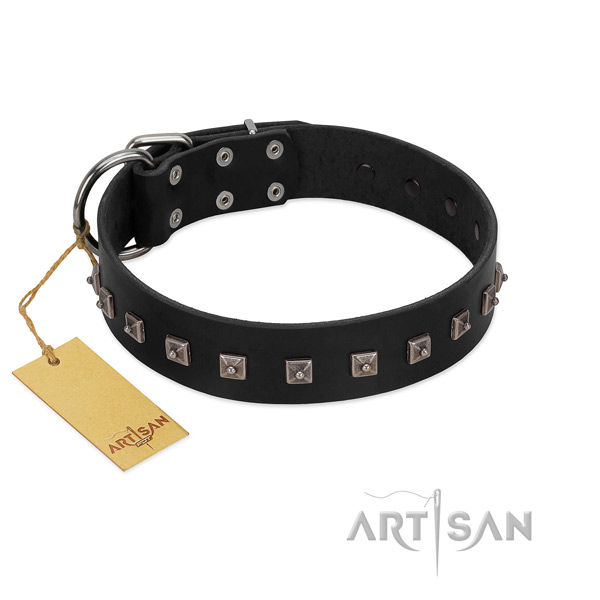 Top notch decorated leather dog collar