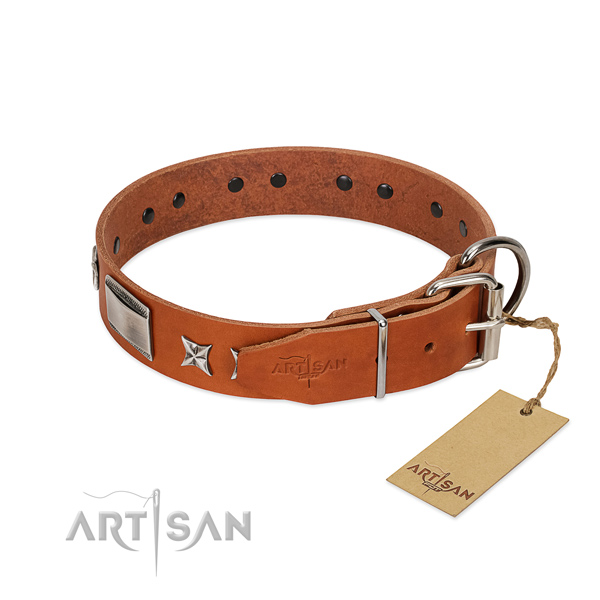 Embellished dog collar of full grain natural leather