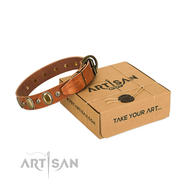 Stylish design natural leather dog collar with rust resistant fittings