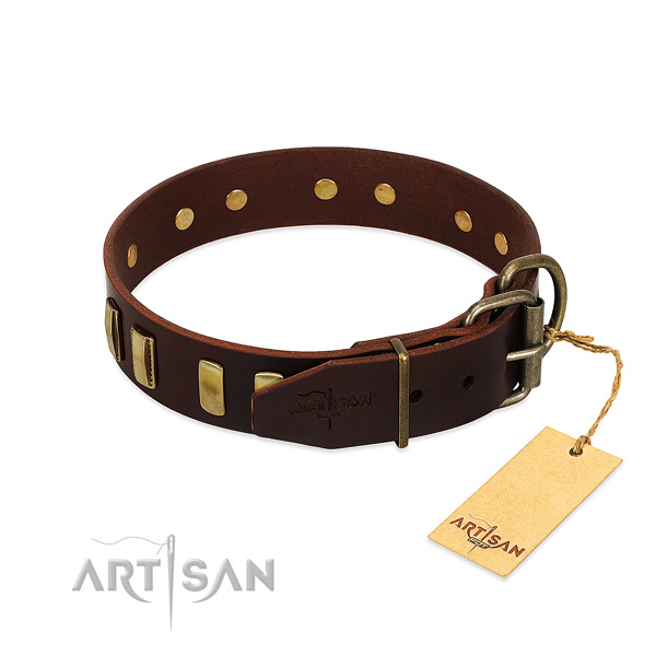 Leather dog collar with strong fittings for easy wearing