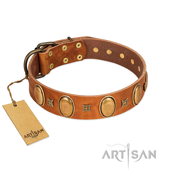 Leather dog collar with trendy adornments for easy wearing