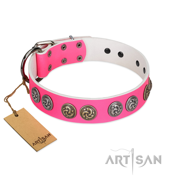 Impressive collar of full grain natural leather for your attractive four-legged friend