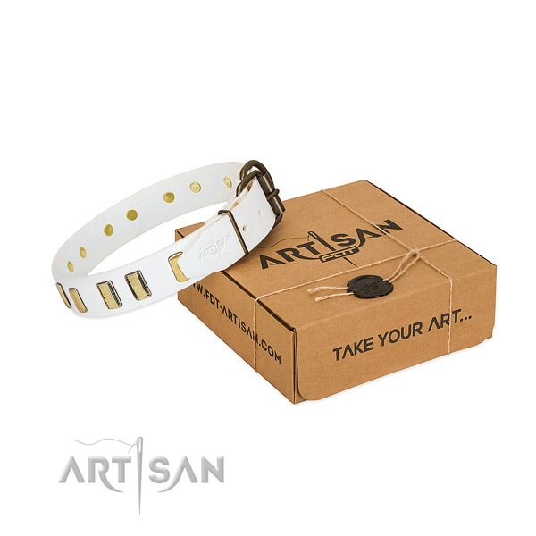 Soft to touch full grain natural leather dog collar with embellishments for everyday use