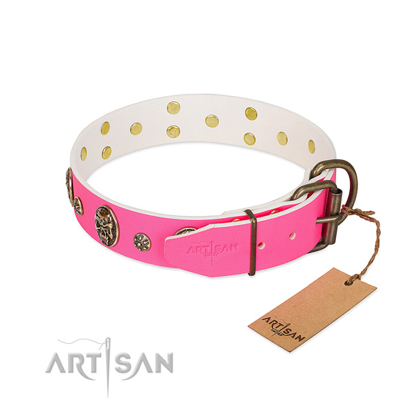 Corrosion proof fittings on genuine leather collar for walking your four-legged friend