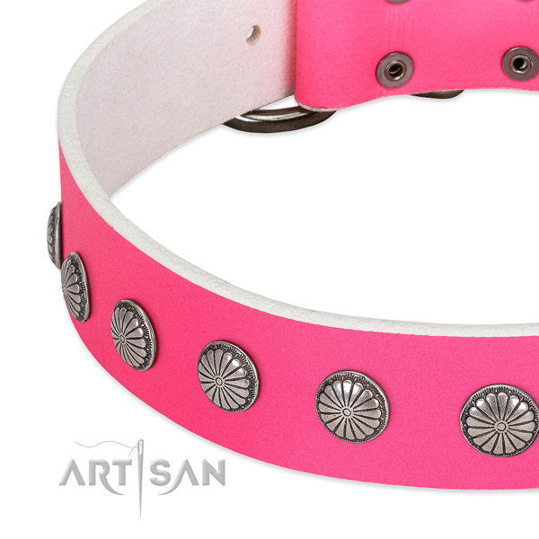 Top notch full grain genuine leather dog collar with studs for your impressive doggie