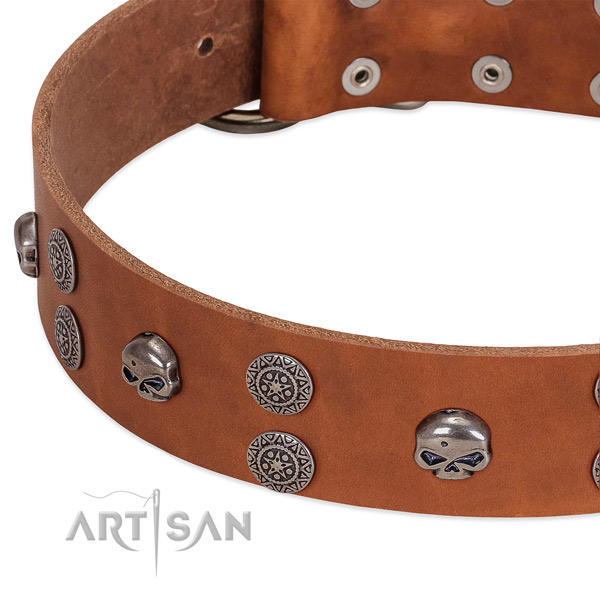 Best quality natural leather dog collar with impressive adornments