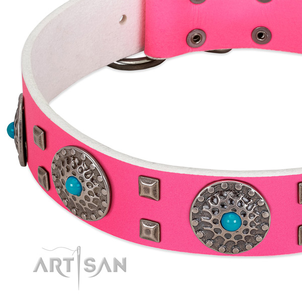 Top notch full grain genuine leather dog collar with top notch studs