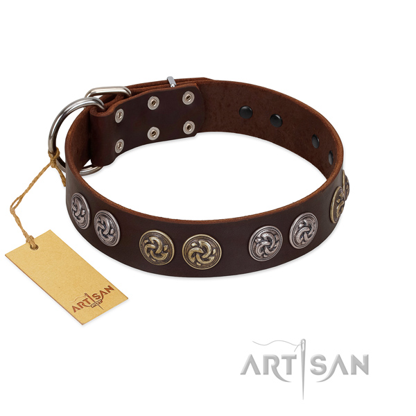 Rust-proof traditional buckle on extraordinary full grain natural leather dog collar