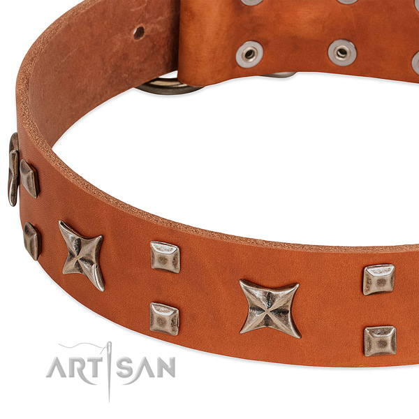 Quality full grain genuine leather dog collar with embellishments for everyday walking