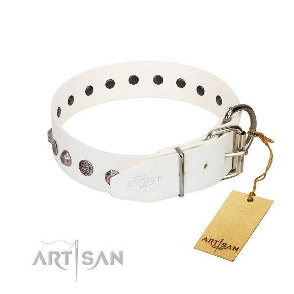 Rust resistant D-ring on full grain genuine leather dog collar for stylish walking your canine