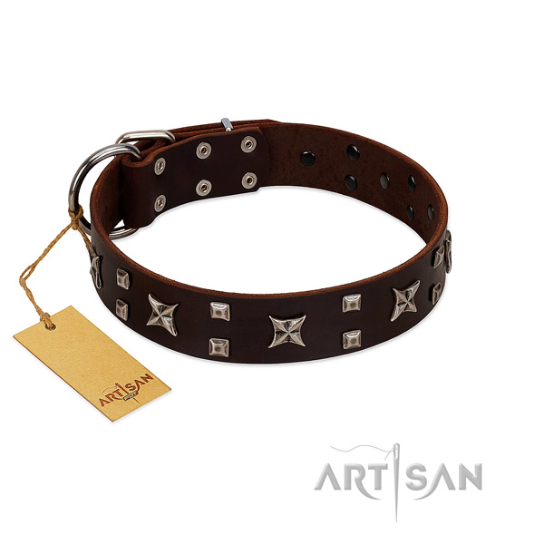 Gentle to touch full grain natural leather dog collar with adornments for stylish walking