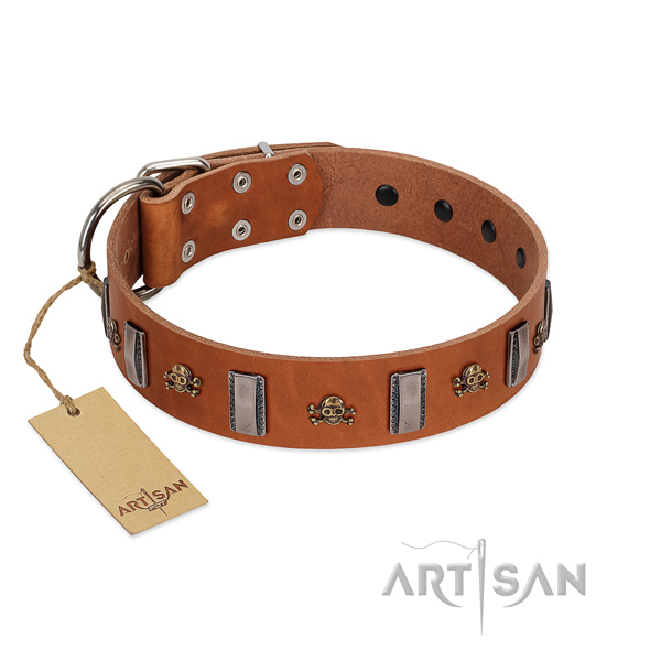 Natural leather dog collar with impressive studs for your pet