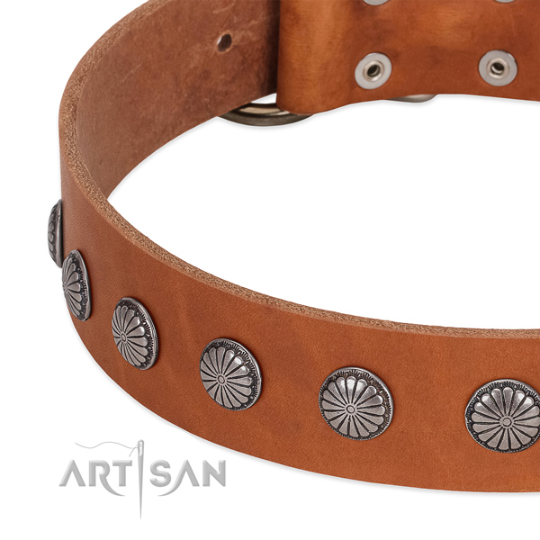 Quality natural leather dog collar with studs for walking