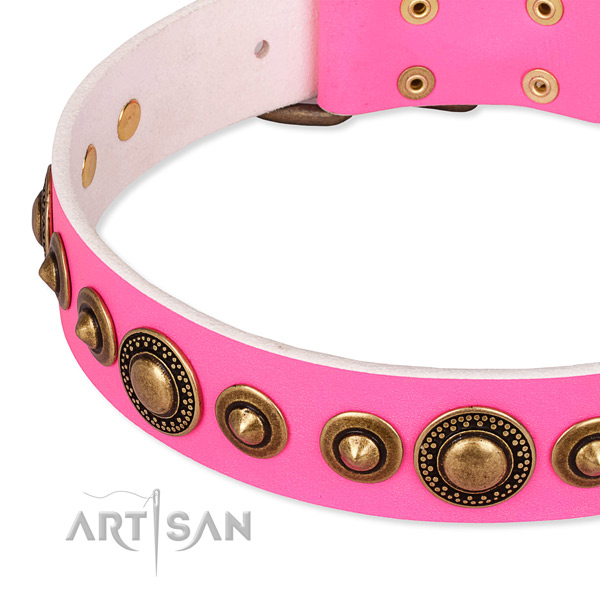 High quality full grain natural leather dog collar crafted for your impressive canine