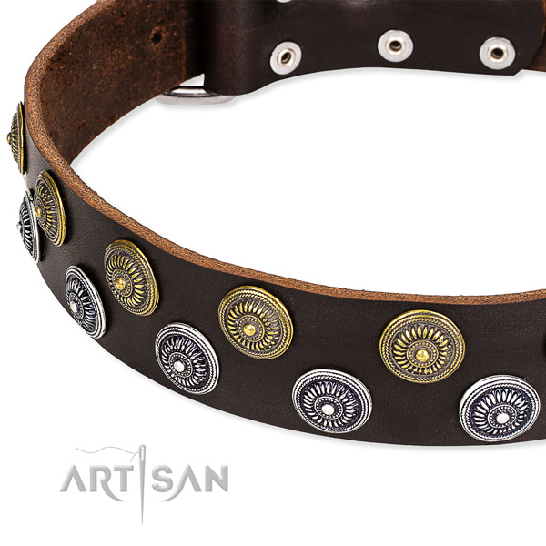 Everyday use studded dog collar of finest quality leather