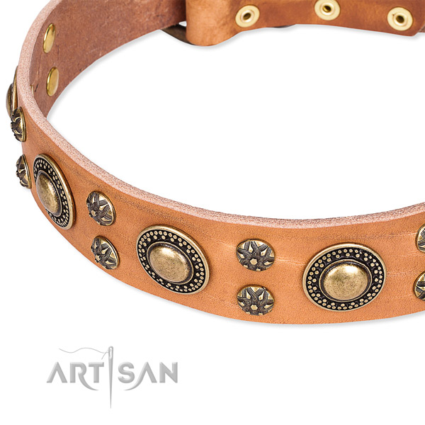 Basic training embellished dog collar of high quality natural leather