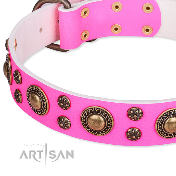 Daily walking adorned dog collar of quality full grain leather