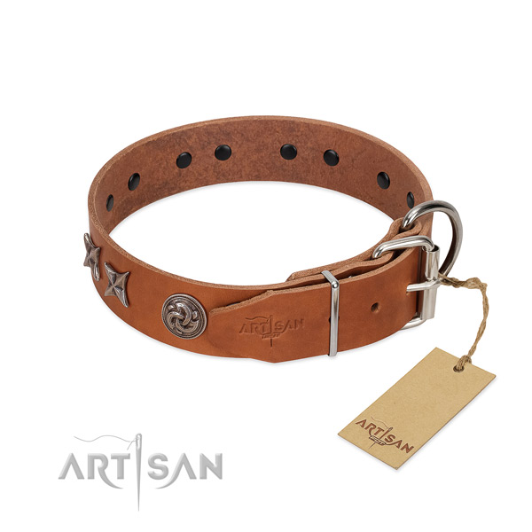 Studded dog collar handcrafted for your stylish canine