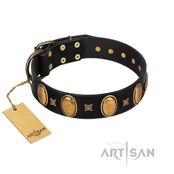 Full grain leather dog collar with awesome studs for fancy walking
