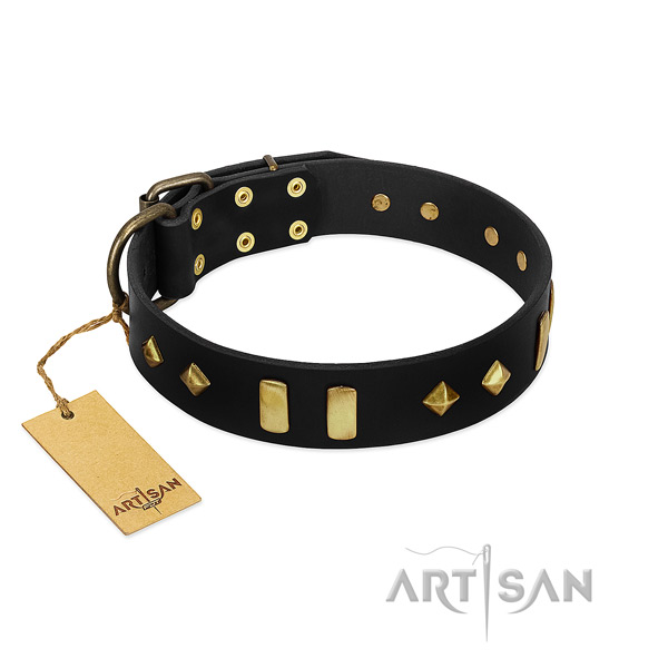 Full grain leather dog collar with extraordinary embellishments