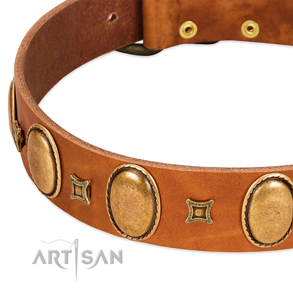 Genuine leather dog collar with strong hardware for everyday use