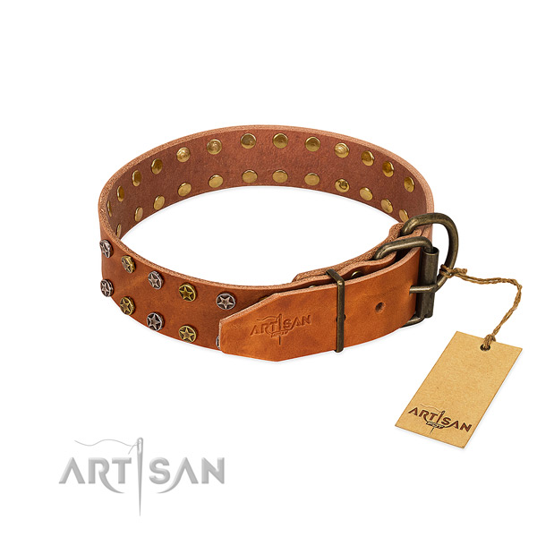 Everyday walking full grain leather dog collar with designer adornments
