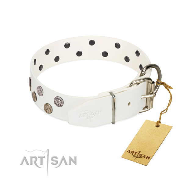 Exceptional decorations on leather collar for your four-legged friend