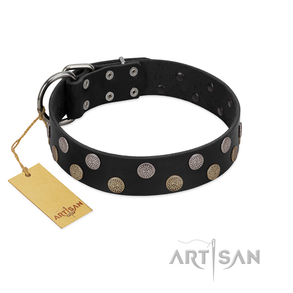 Designer leather collar for handy use your pet