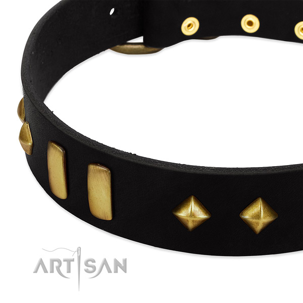 Top notch full grain leather dog collar with trendy studs
