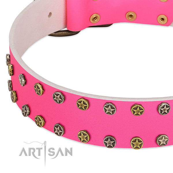 Soft full grain genuine leather collar with adornments for your dog