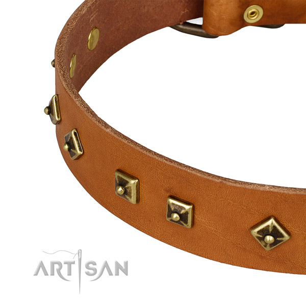 Stylish full grain genuine leather collar for your attractive dog