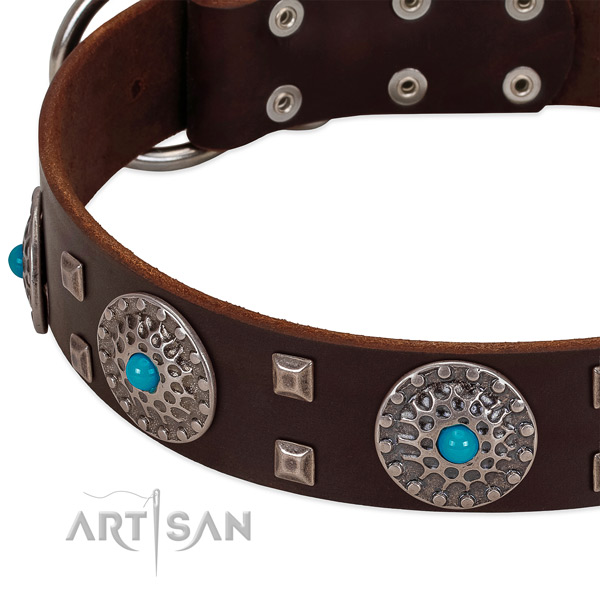 Top notch full grain natural leather dog collar with unusual embellishments