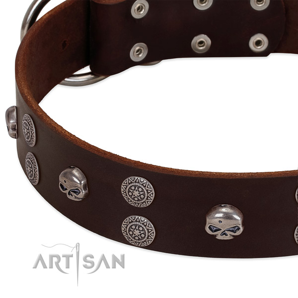 Soft to touch genuine leather dog collar with trendy studs