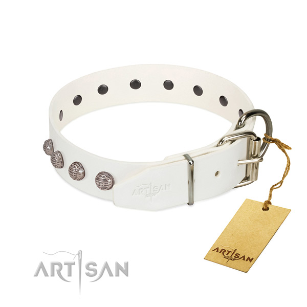 Leather dog collar of quality material with top notch adornments