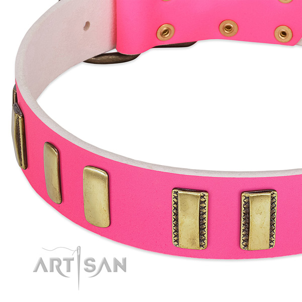 High quality full grain genuine leather dog collar with studs for daily walking