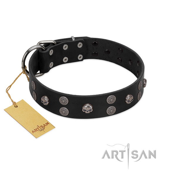 Everyday walking embellished leather collar for your canine