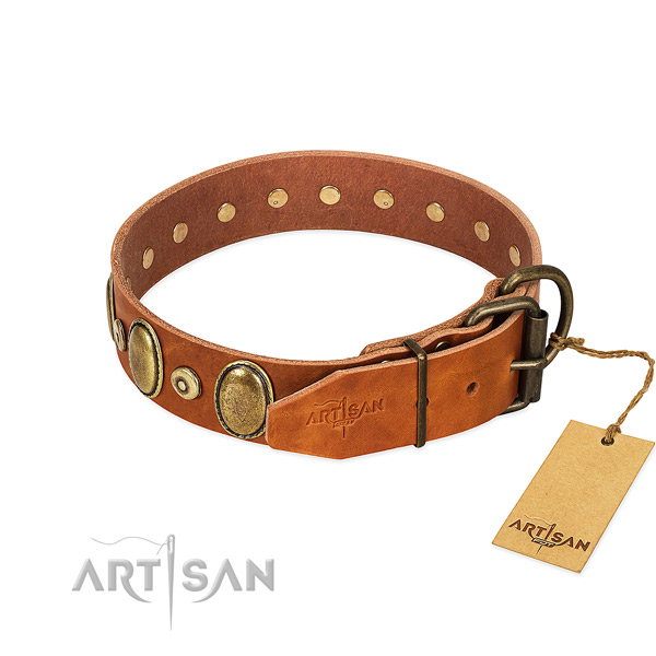 Flexible natural leather collar crafted for your canine