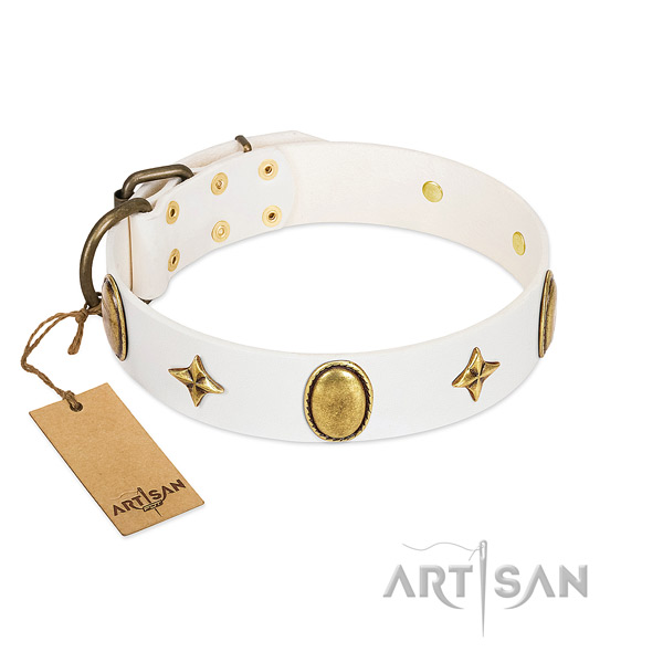 Quality full grain natural leather collar with stunning adornments for your dog