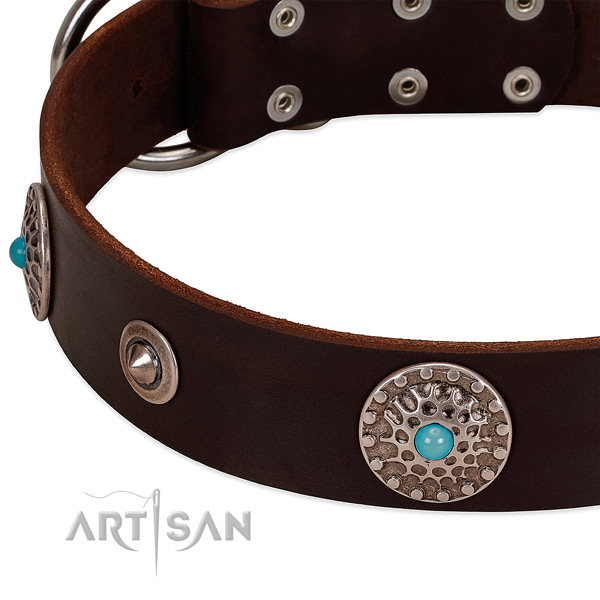 Adjustable collar of leather for your beautiful canine
