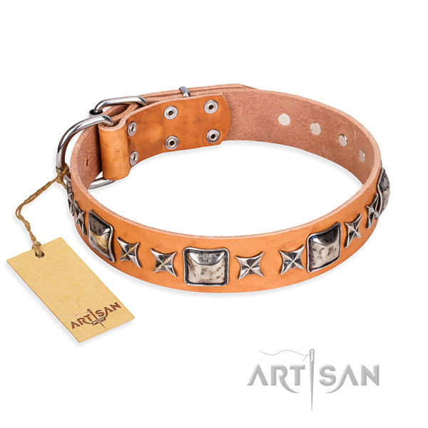 Comfy wearing dog collar of durable genuine leather with embellishments